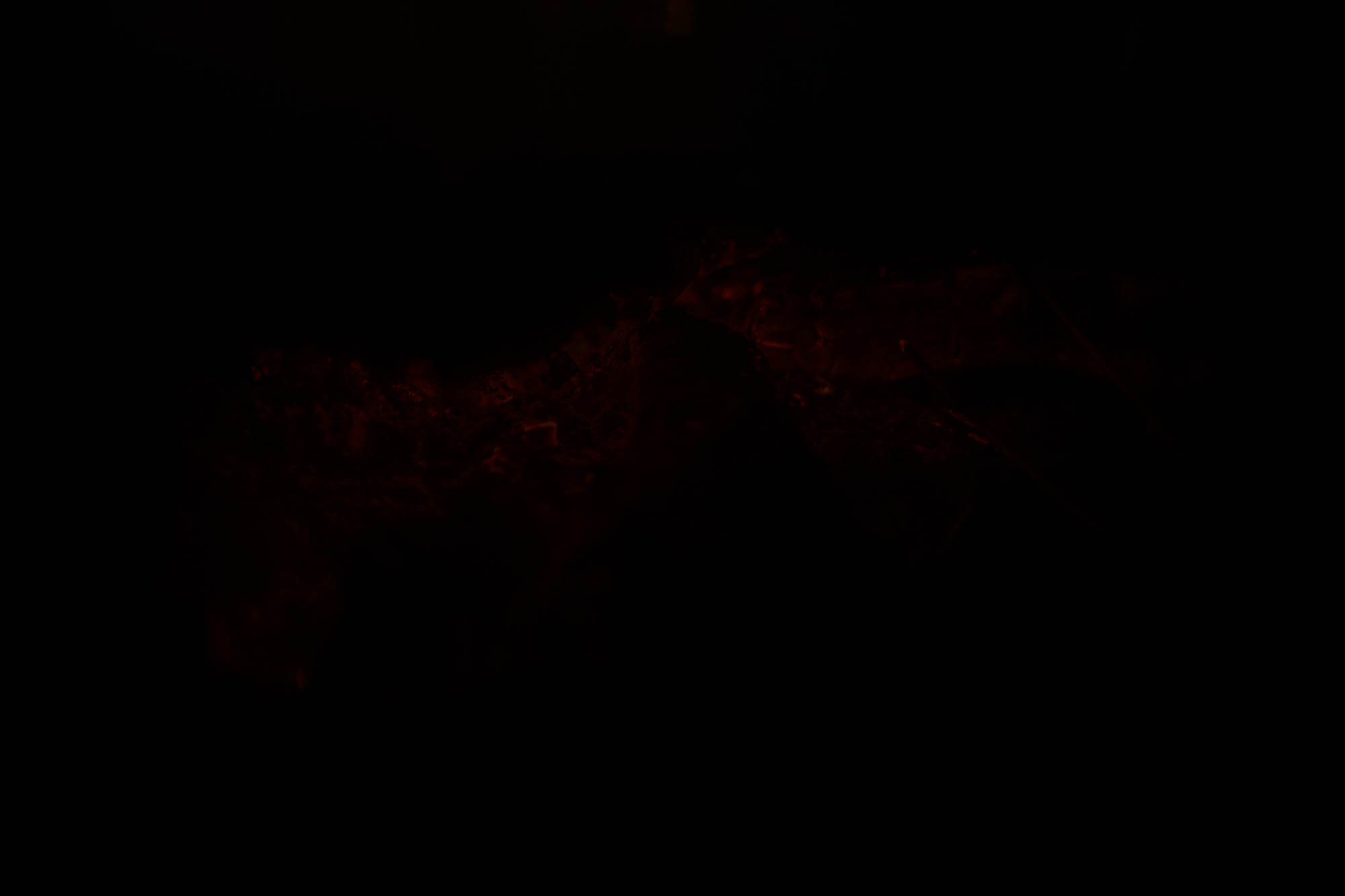 Export x3 1DX28211 Hochzeit 2019 Tatjana und Hermann